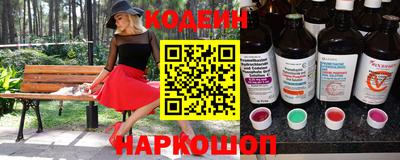 гашик Гагарин