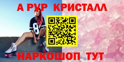 шишки Гай