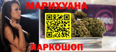 шишки Гай