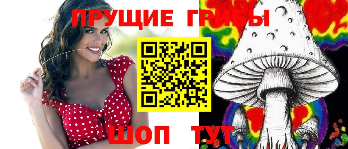 Псилоцибиновые грибы Cubensis Заволжье