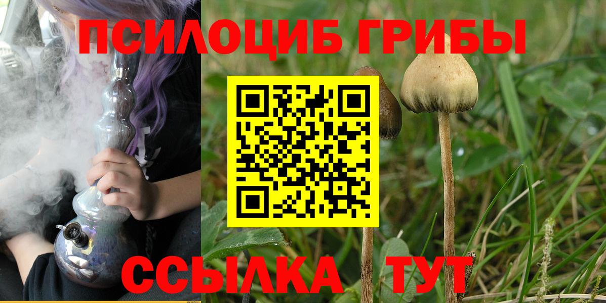 Галлюциногенные грибы ЛСД  Вход с VPN  Заволжье 